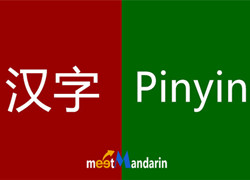 Chinese to Pinyin Converter